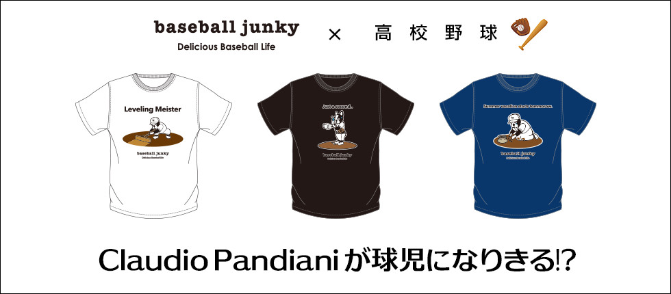 baseballjunky×高校野球バナー